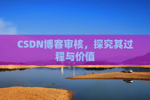 CSDN博客审核，探究其过程与价值